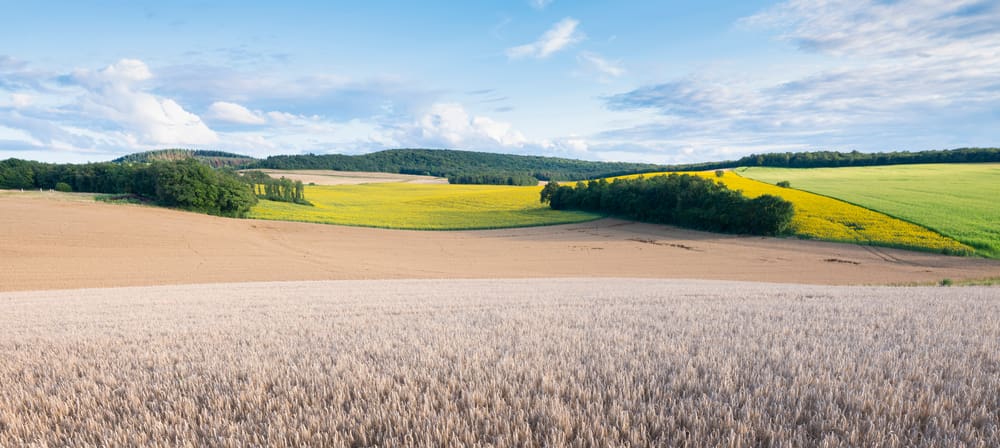 Fietsreis De Morvan Fietsvakanties Frankrijk Fietsend Vuurtje 10